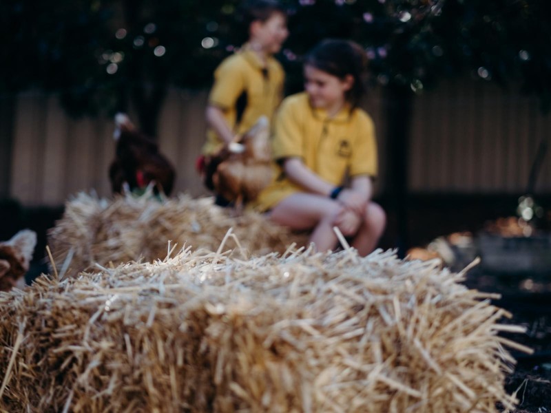 48 Sinclair Street, Kambah ACT 2902