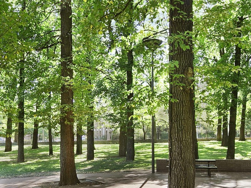 704/240 Bunda Street, City ACT 2601