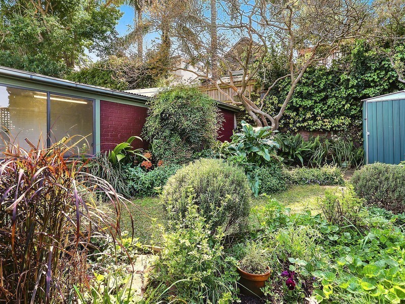 17 Percy Street, Rozelle NSW 2039