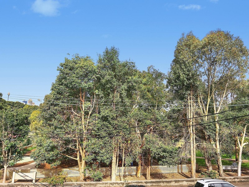 41 Wortley Street, Balmain NSW 2041
