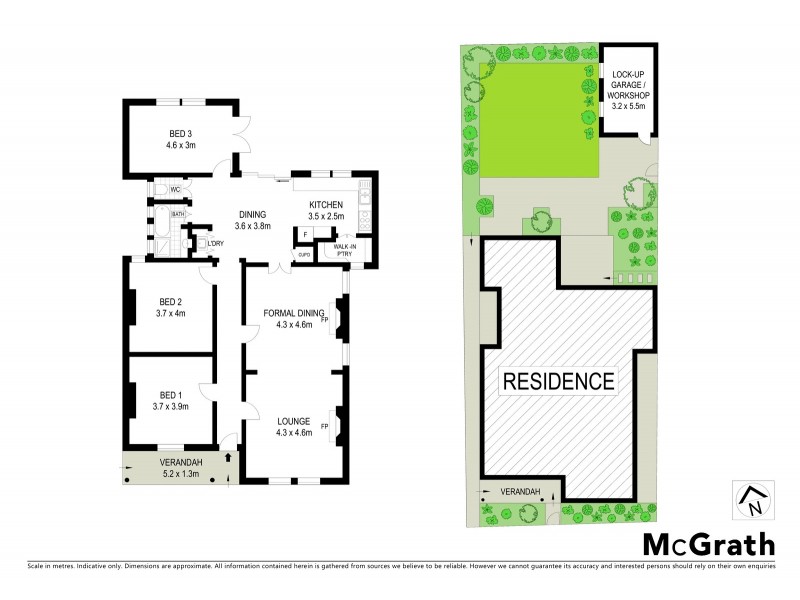 3 Norman Street, Rozelle NSW 2039 Floorplan