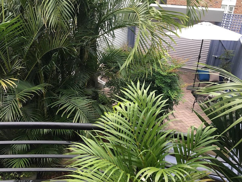 7A Cheltenham Street, Rozelle NSW 2039