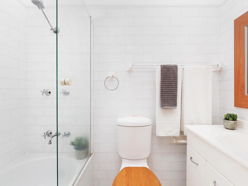 17 Ryan Street, Lilyfield NSW 2040