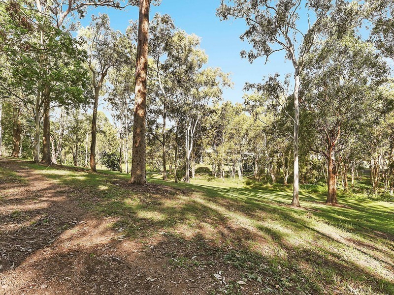 23 Francis Terrace, Taringa QLD 4068