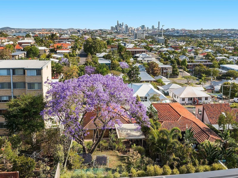 91 Bellevue Terrace, Clayfield QLD 4011