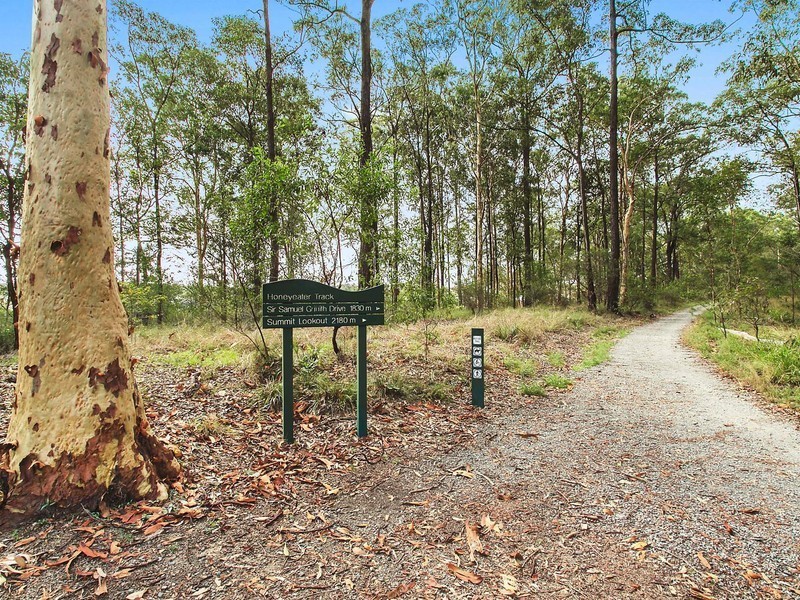 41 Hepworth Street, Chapel Hill QLD 4069