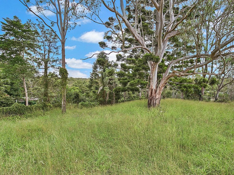 44 Rowena Street, Kenmore QLD 4069