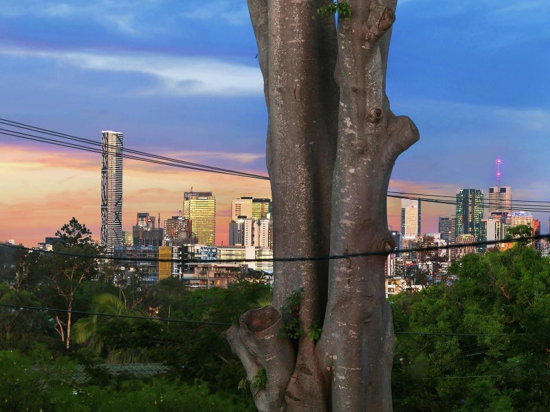 47 Ellerslie Crescent, Taringa QLD 4068