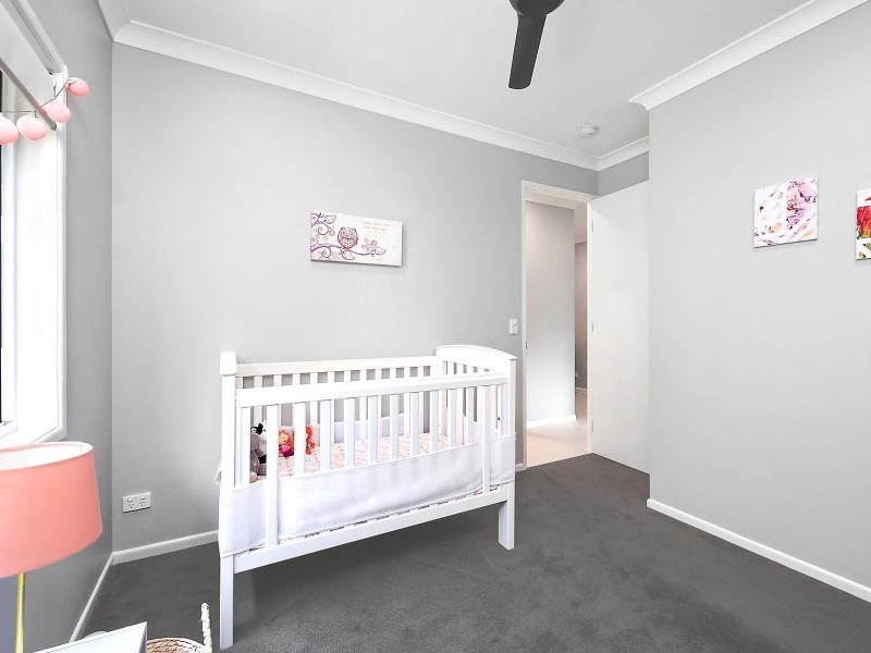 17 Albatross Street, Upper Kedron QLD 4055