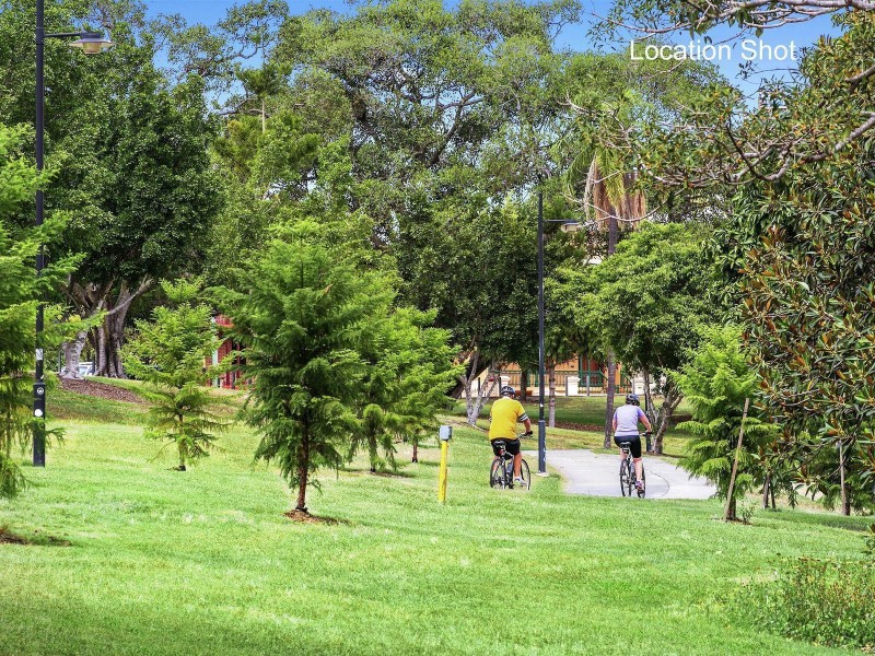 14 Robert Street, Spring Hill QLD 4000