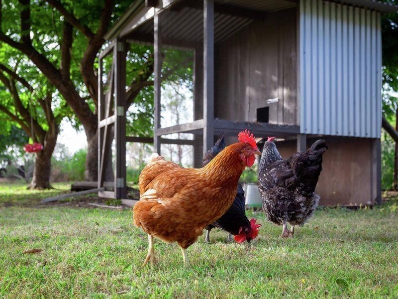 3765 Moggill Road, Moggill QLD 4070
