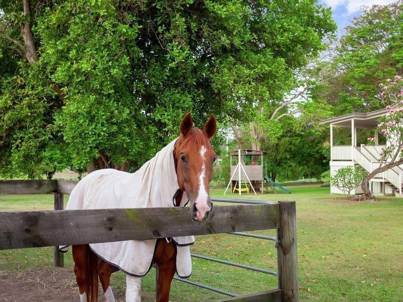 3765 Moggill Road, Moggill QLD 4070