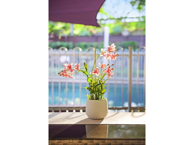 3 Mavis Court, Arana Hills QLD 4054