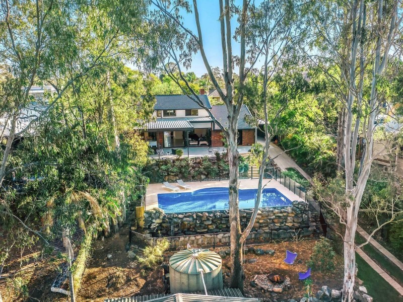 56 Botticelli Street, Fig Tree Pocket QLD 4069