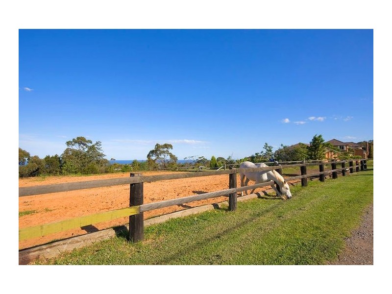 5 Walter Road, Ingleside NSW 2101