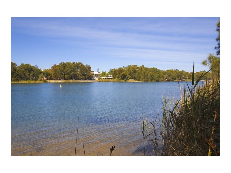 19 Wimbledon Avenue, Narrabeen NSW 2101