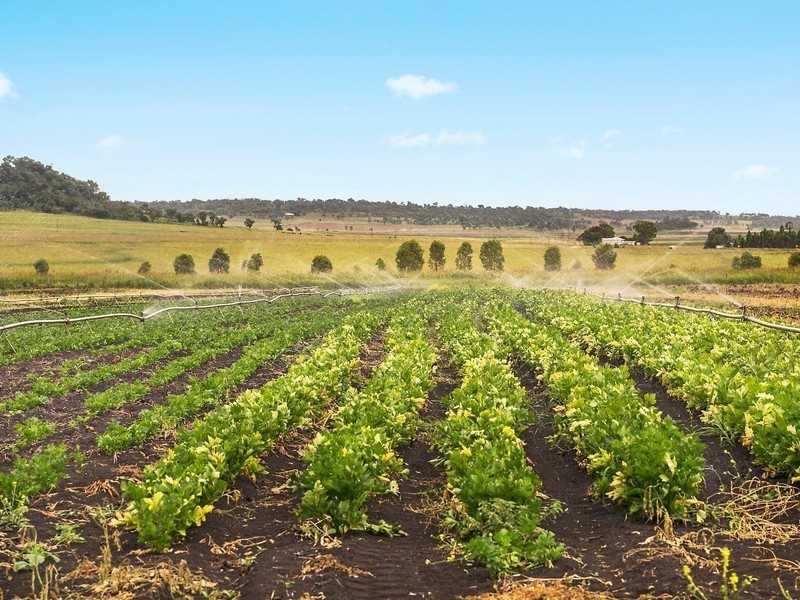 283 Southbrook Road, Felton QLD 4358