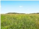283 Southbrook Road, Felton QLD 4358