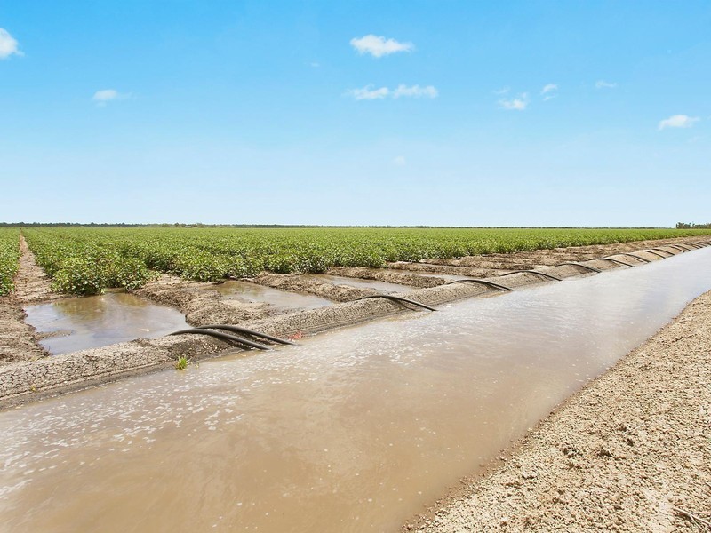153 McGrath Road, Cecil Plains QLD 4407