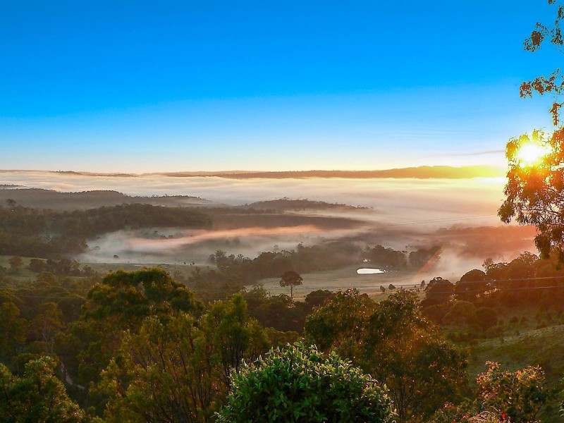 80 Forest Drive, Hampton QLD 4352