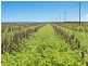Bunya Highway, Dalby QLD 4405