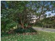 17 Wirra Wirra Street, Mount Lofty QLD 4350