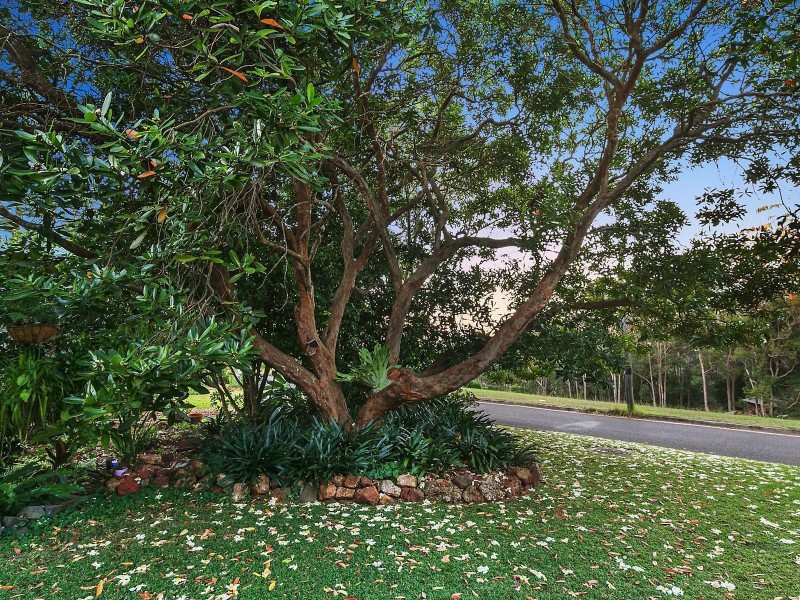 17 Wirra Wirra Street, Mount Lofty QLD 4350