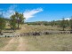 528 Snake Ridge Road, Cement Mills QLD 4352