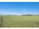 1374 Felton-Clifton Road, Nobby QLD 4360