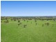 7956 Toowoomba-Karara Road, Karara QLD 4352