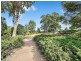 3/20 Camborne Street, Kleinton QLD 4352