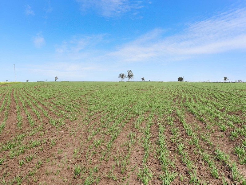 996 Surat Development Road, Surat QLD 4417