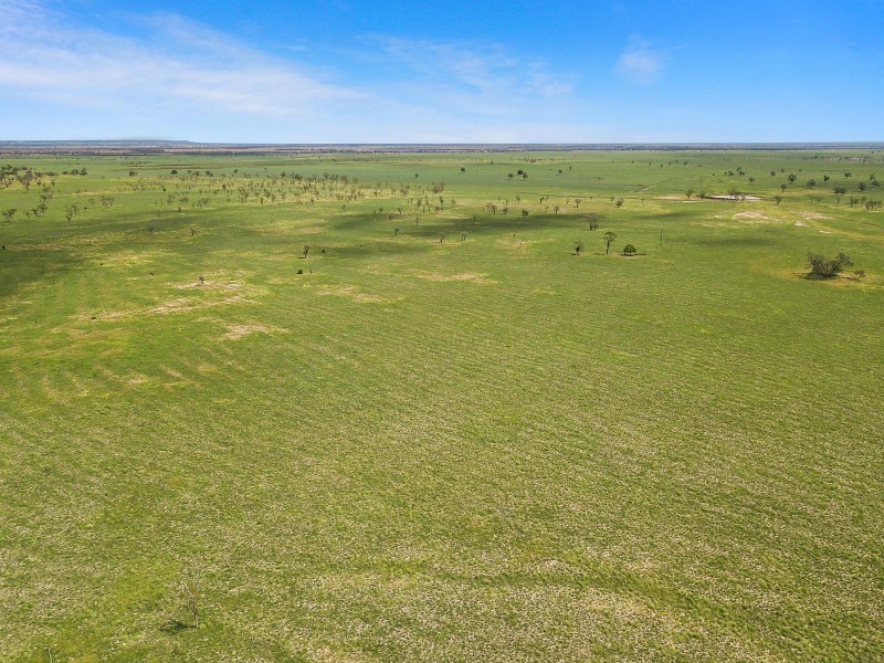 996 Surat Development Road, Surat QLD 4417