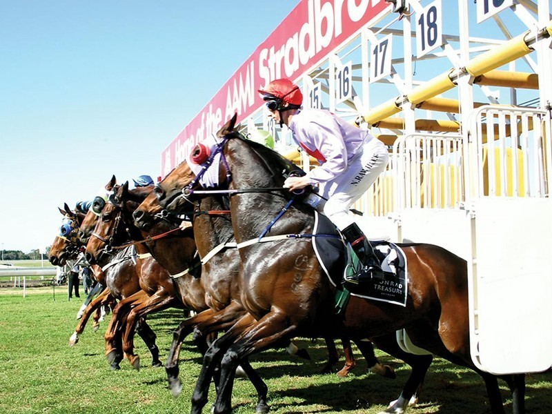 20-24 Mein Street, Hendra QLD 4011