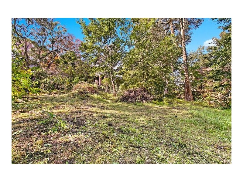 49 Bent Street, Lindfield NSW 2070