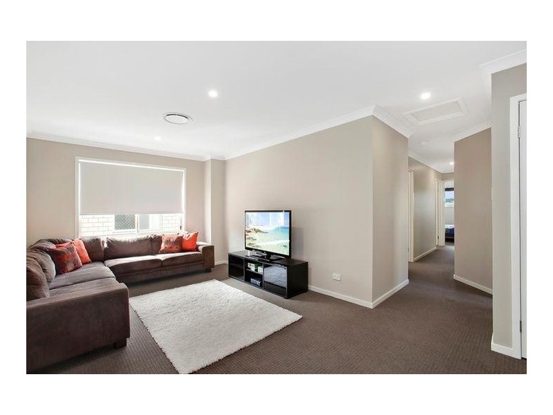 16 Shelley Street, Cannon Hill QLD 4170