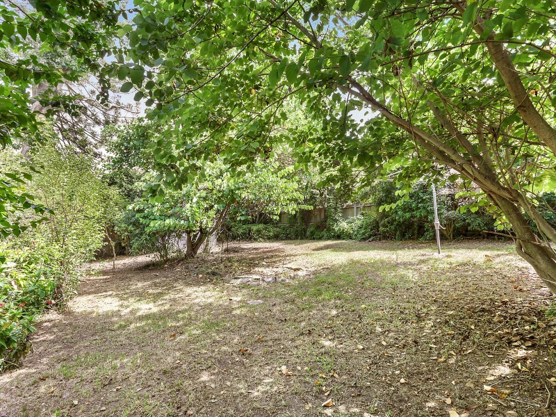 17 Saunders Street, Indooroopilly QLD 4068