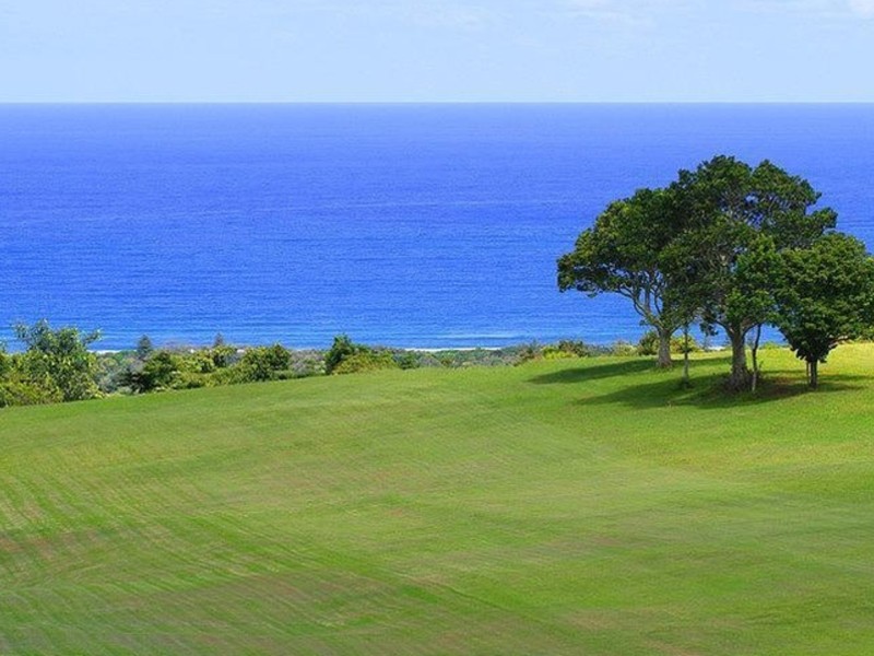 121 Coopers Shoot Road, Coopers Shoot NSW 2479