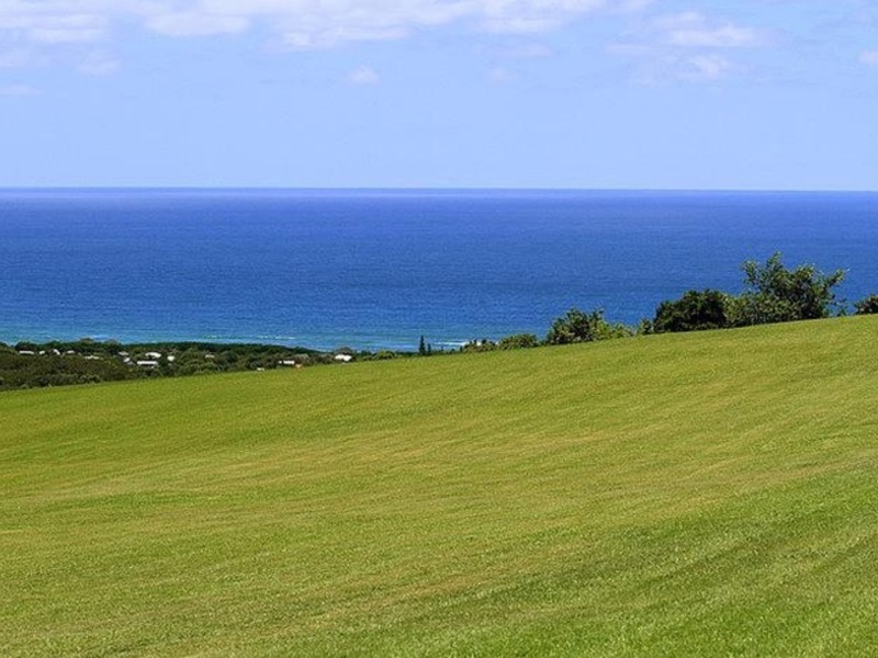 121 Coopers Shoot Road, Coopers Shoot NSW 2479