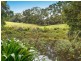 22 Tallowood Road, Possum Creek NSW 2479