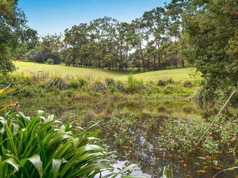 22 Tallowood Road, Possum Creek NSW 2479