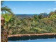 131 Parmenters Road, Wilsons Creek NSW 2482