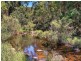 131 Parmenters Road, Wilsons Creek NSW 2482