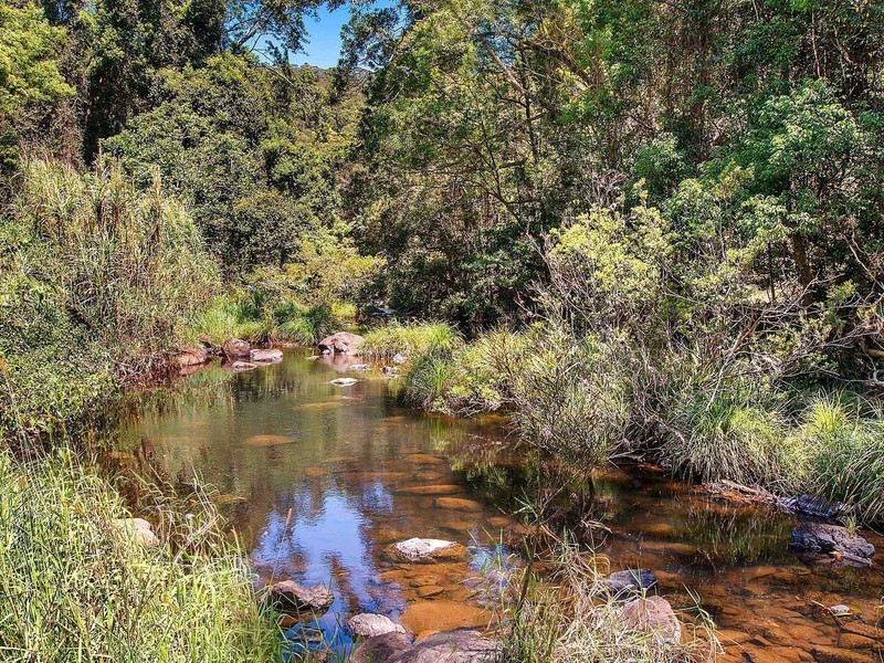 131 Parmenters Road, Wilsons Creek NSW 2482