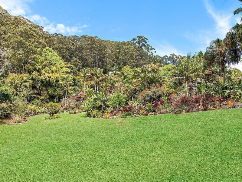 131 Parmenters Road, Wilsons Creek NSW 2482