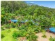 131 Parmenters Road, Wilsons Creek NSW 2482