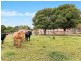 215 Tyagarah Road, Myocum NSW 2481
