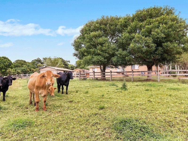215 Tyagarah Road, Myocum NSW 2481