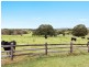 215 Tyagarah Road, Myocum NSW 2481