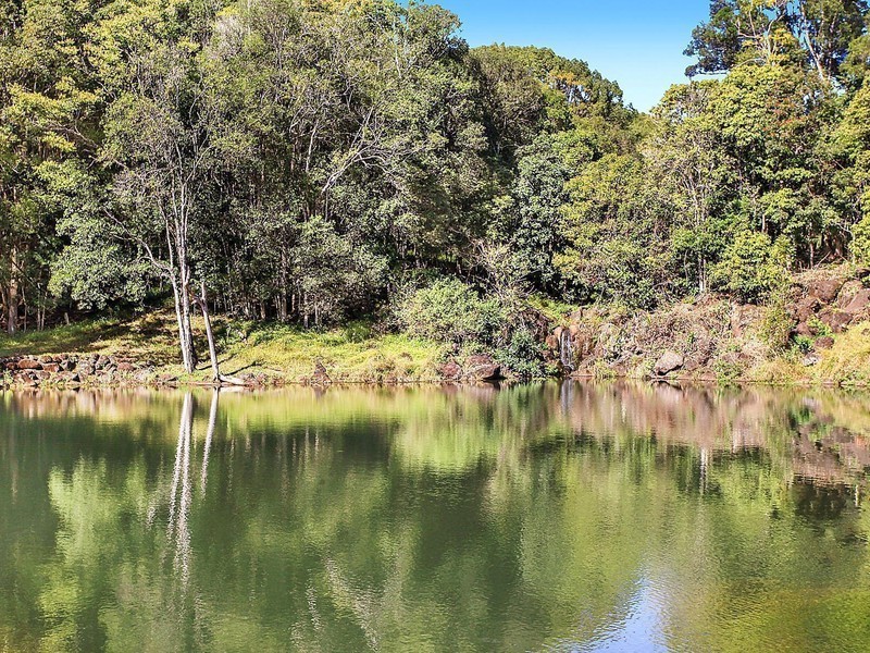 142 Coorabell Road, Federal NSW 2480